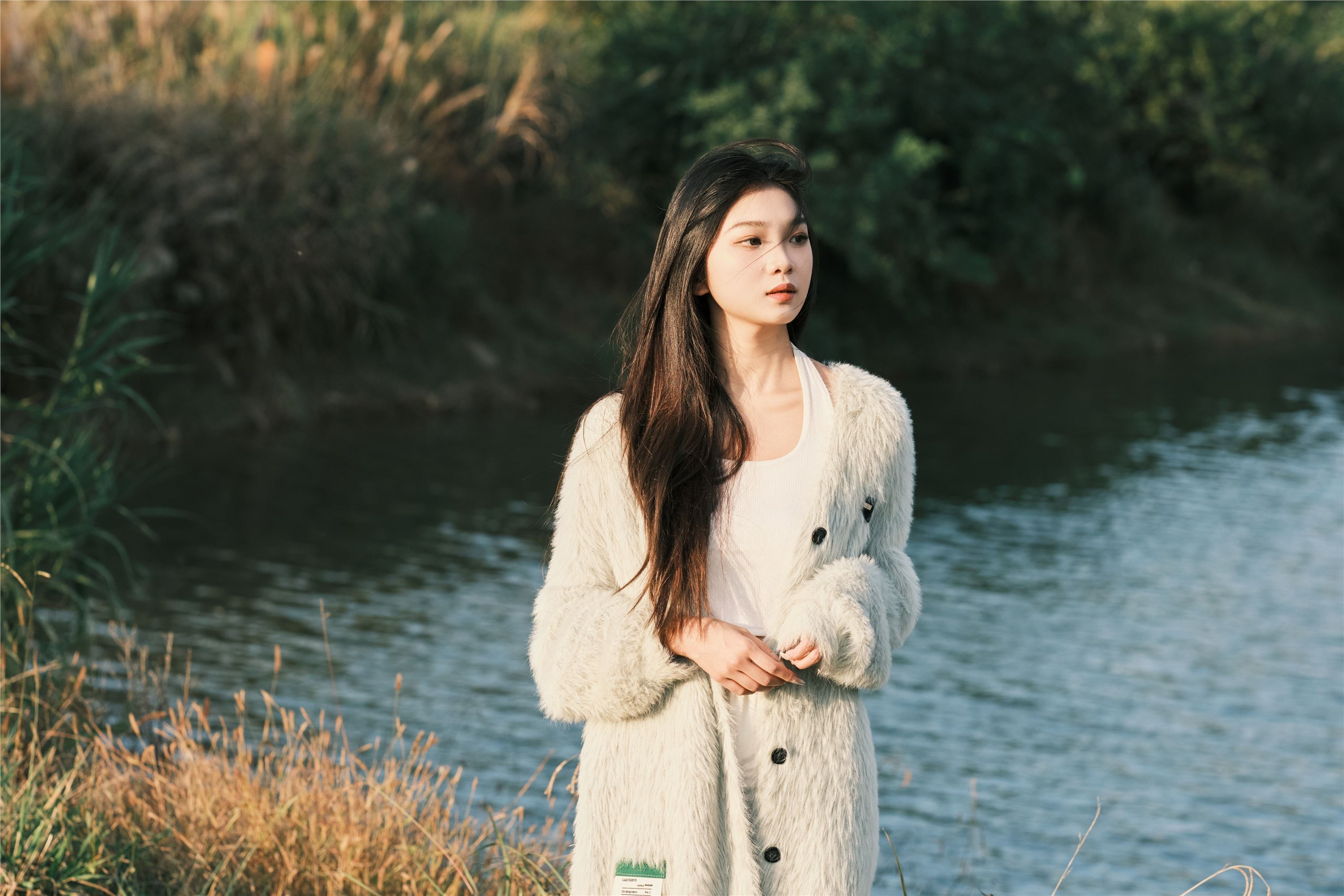 YITUYU艺图语 2025.01.03 湖边 一只狸猫